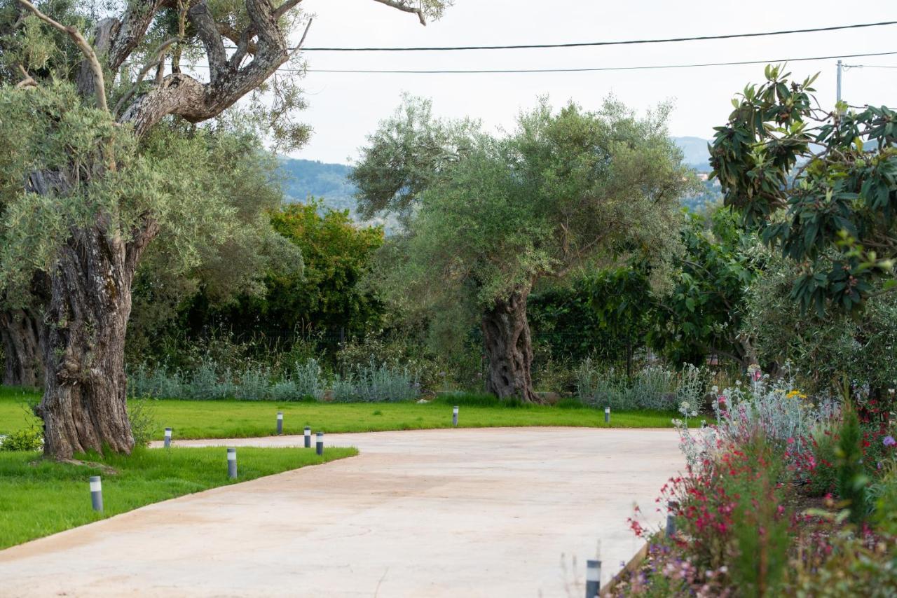 Aerinos Private Villa Λευκάδα Εξωτερικό φωτογραφία