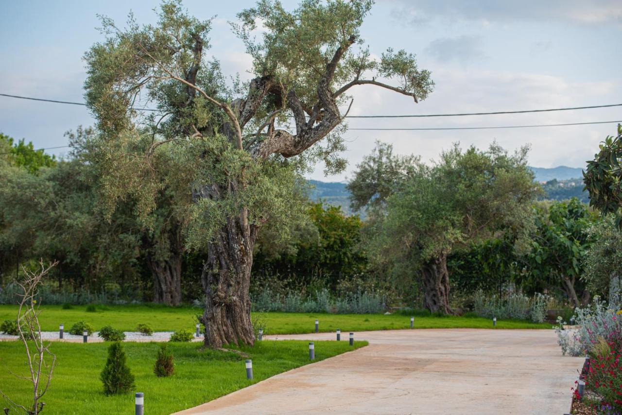 Aerinos Private Villa Λευκάδα Εξωτερικό φωτογραφία