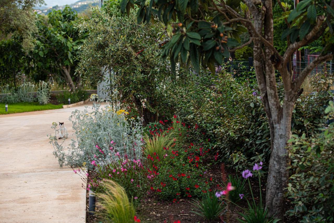 Aerinos Private Villa Λευκάδα Εξωτερικό φωτογραφία